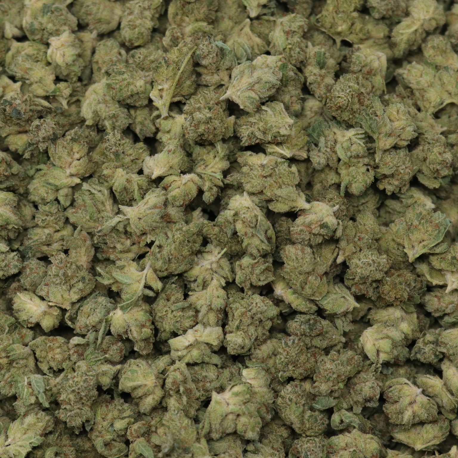 Gorilla Glue 4 Smalls - 1 LB - Image 2