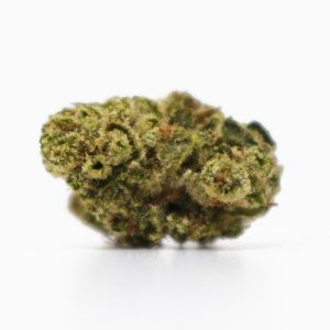 Gorilla Glue 4 Smalls - 1 LB