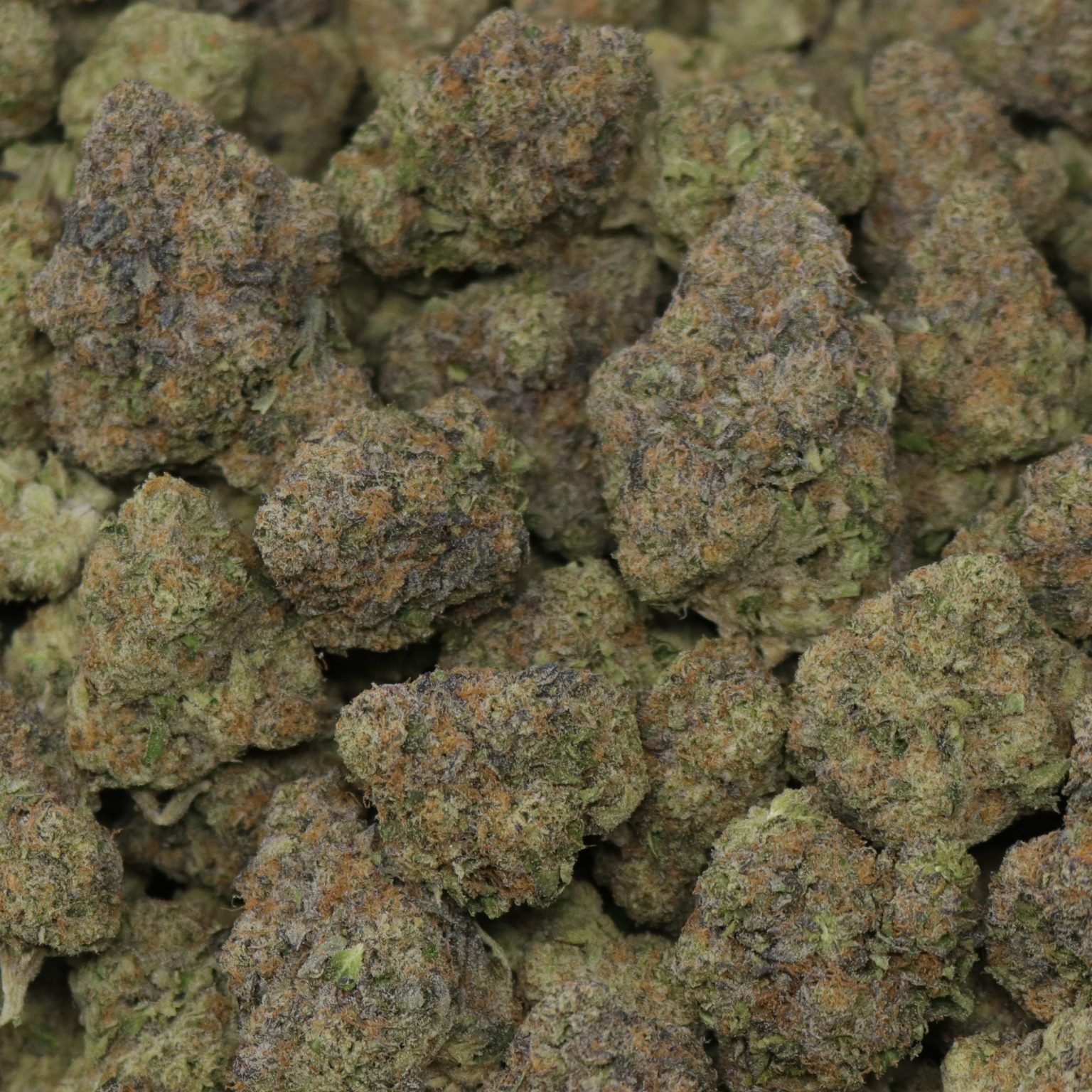 Gelato Cake - 1 LB - Image 2