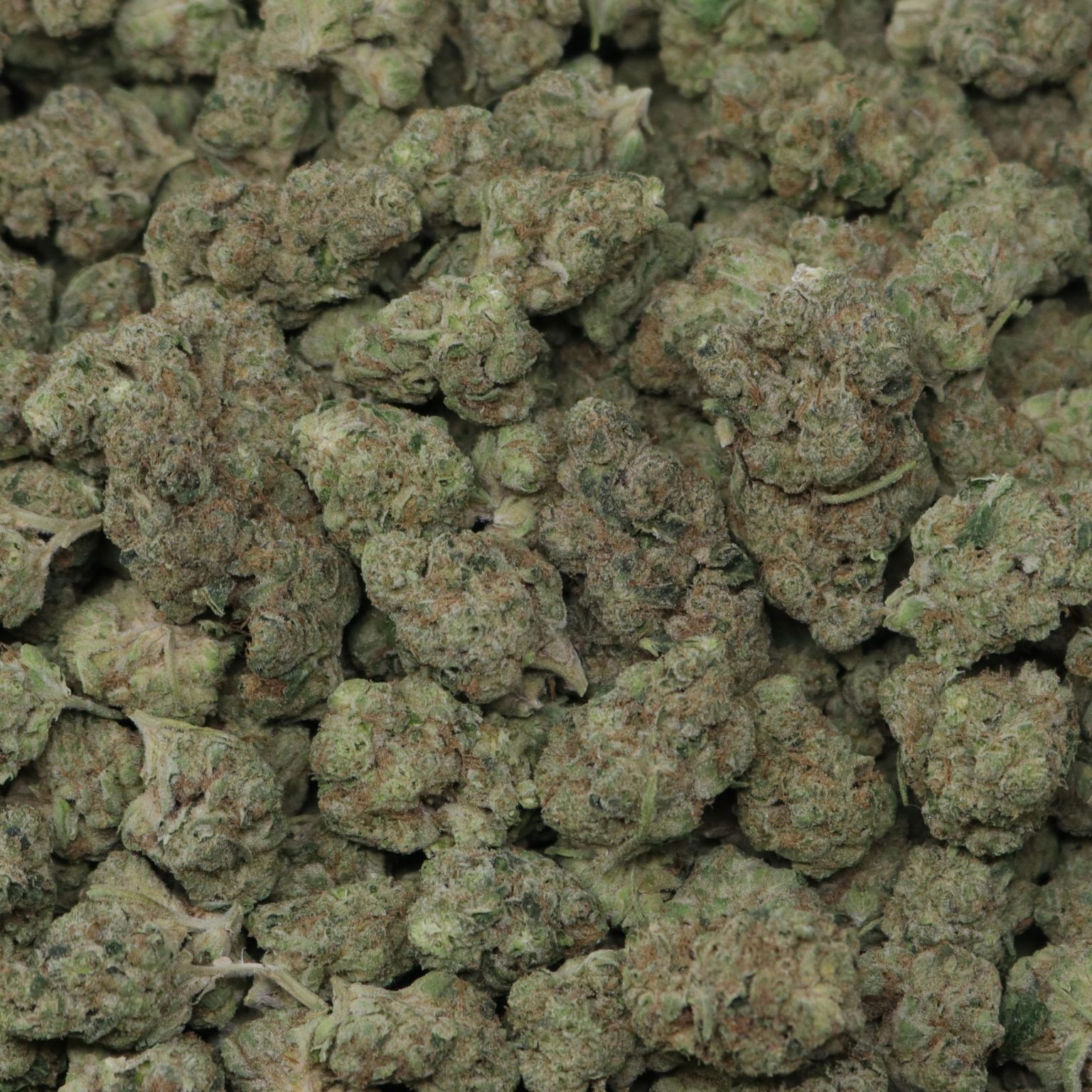 Wedding Cake - 1 LB - Image 2