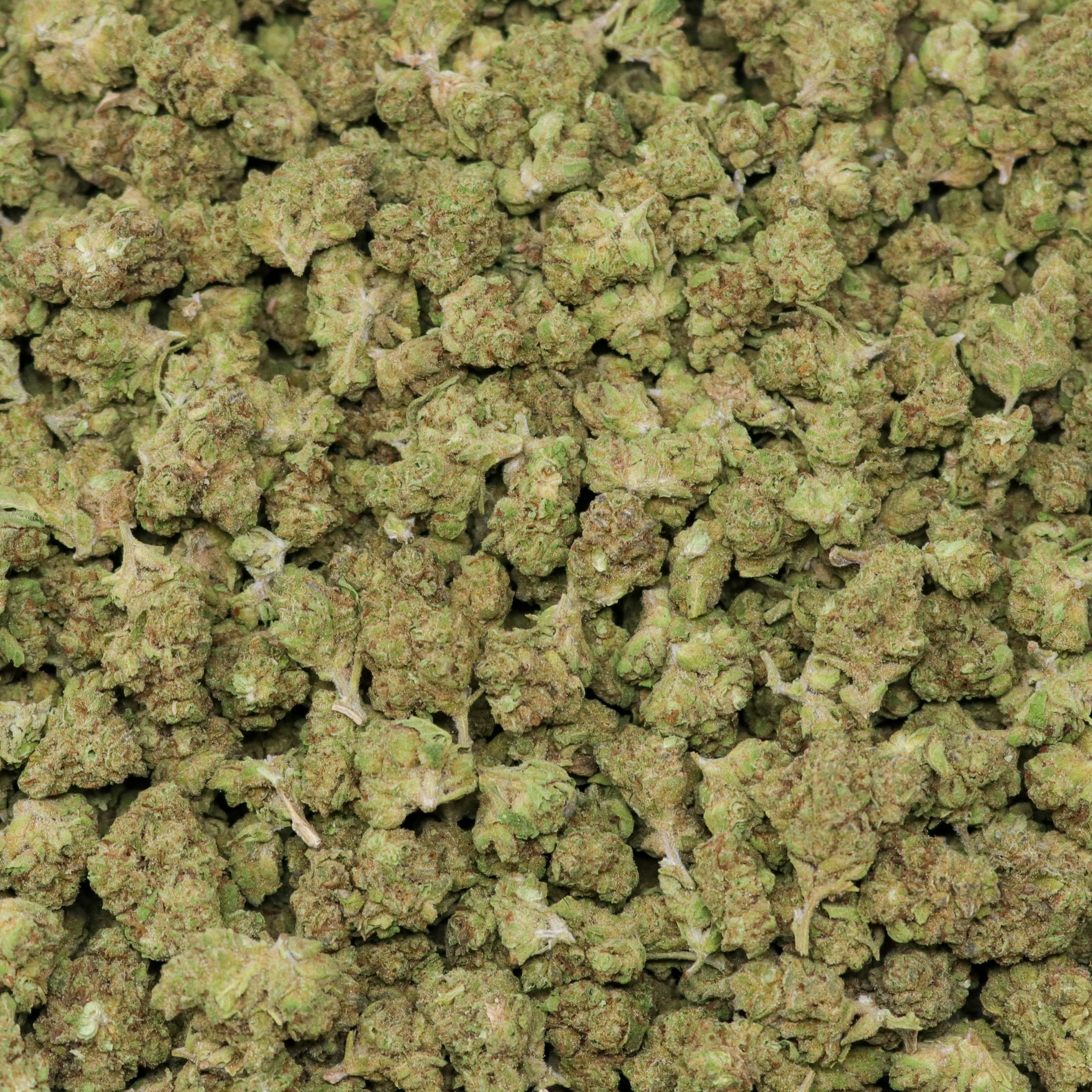 Creme Brulee Smalls - 1 LB - Image 2