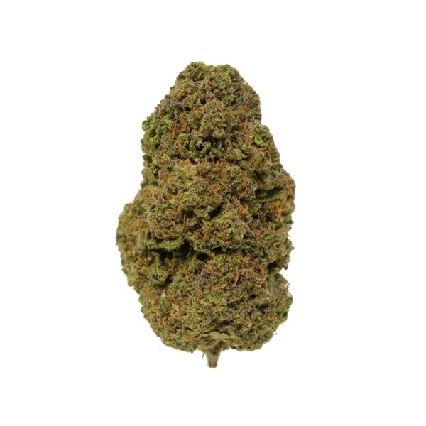 Girl Scout Cookies - 1 LB