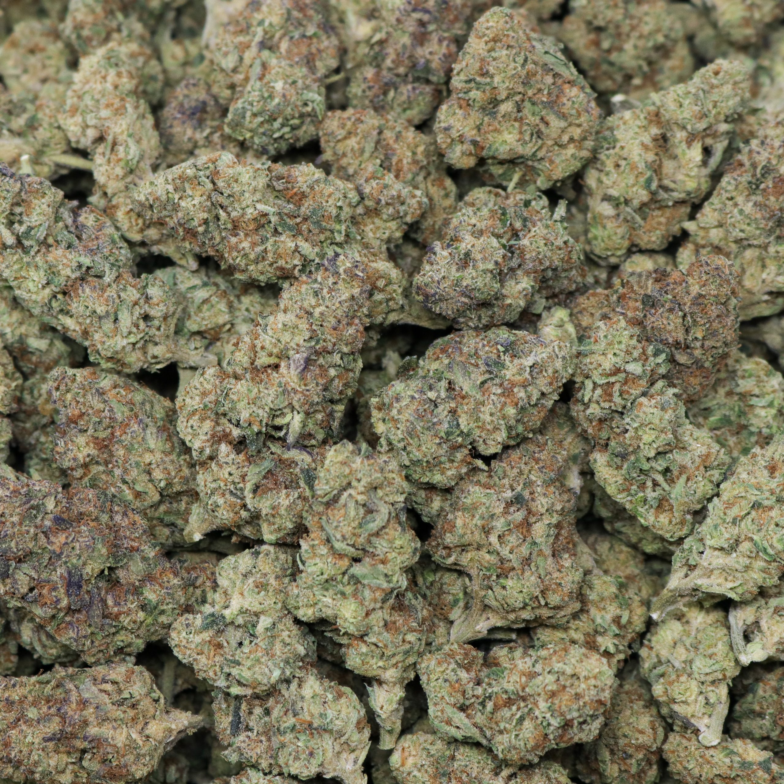 Italian Ice - 1 LB - Image 2