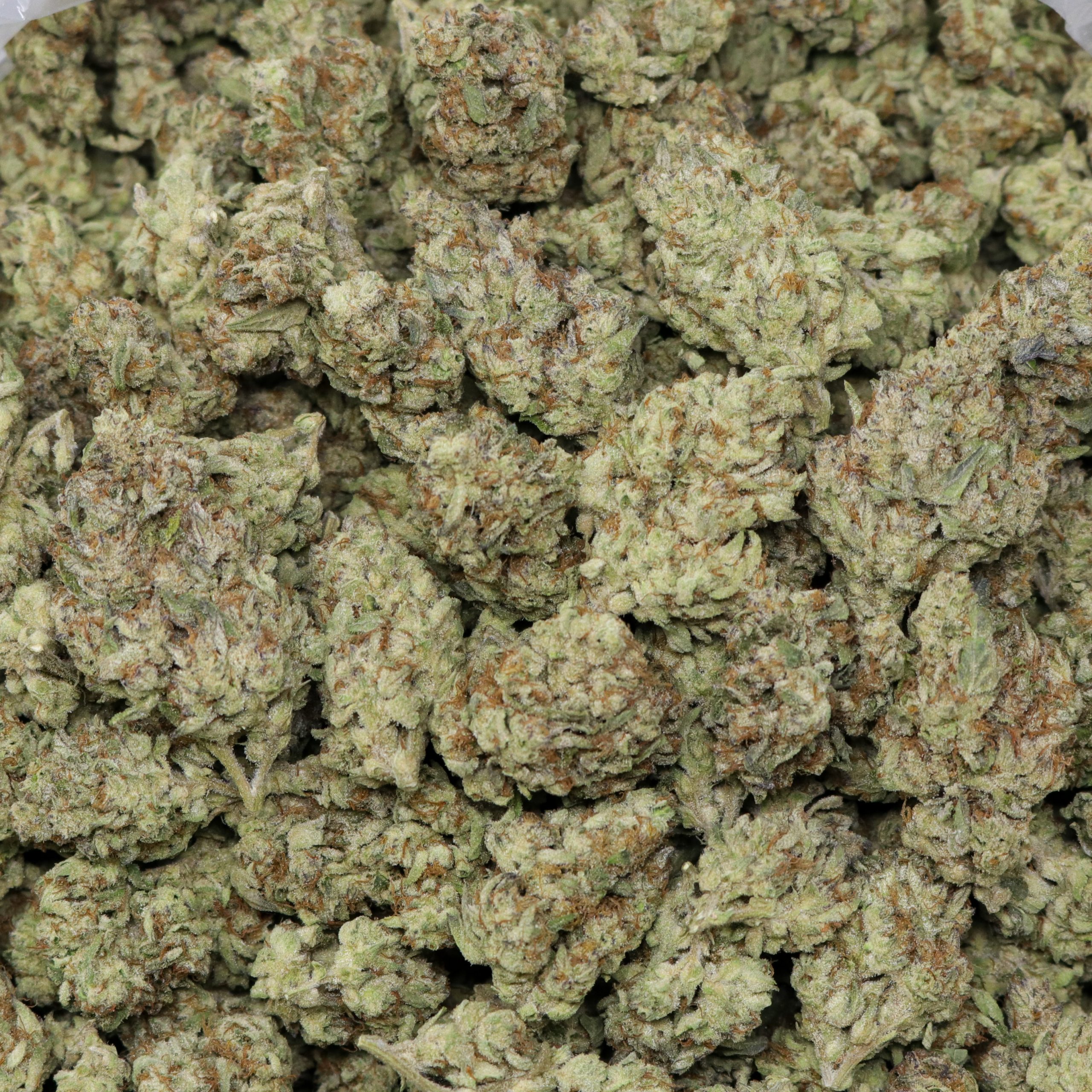 Sundae Driver - 1 LB - Image 2