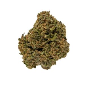 Black Cherry Gelato - 1 LB