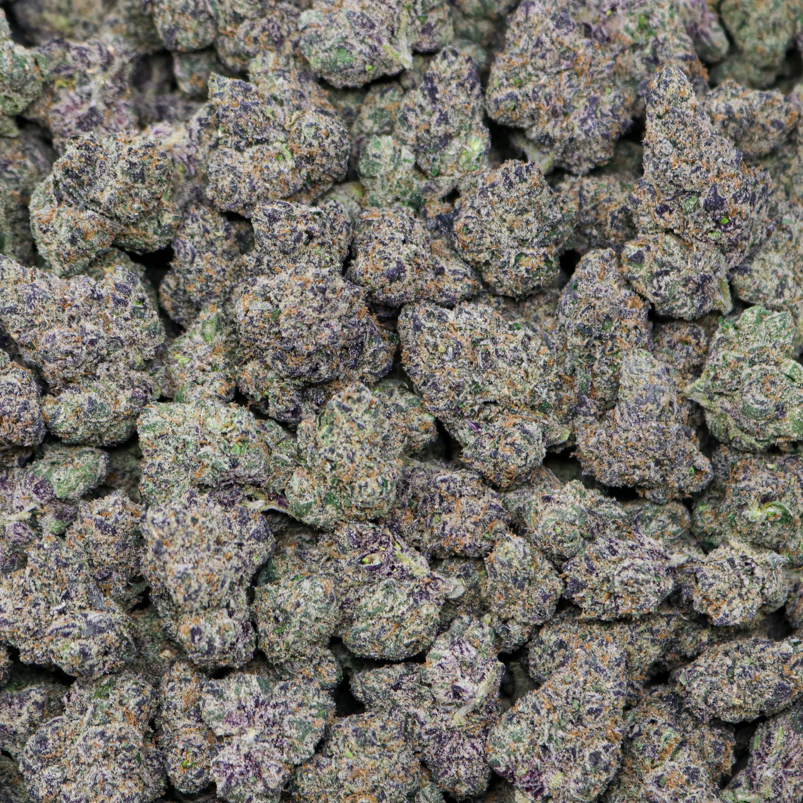 Cherry Stardust - 1 LB - Image 2