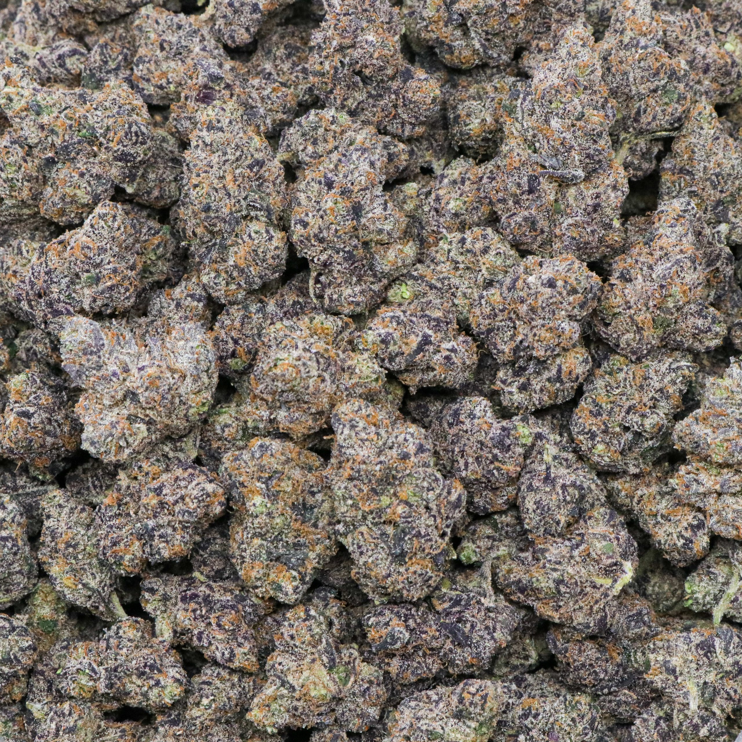 Exotic Blue Nerdz - 1 LB - Image 2