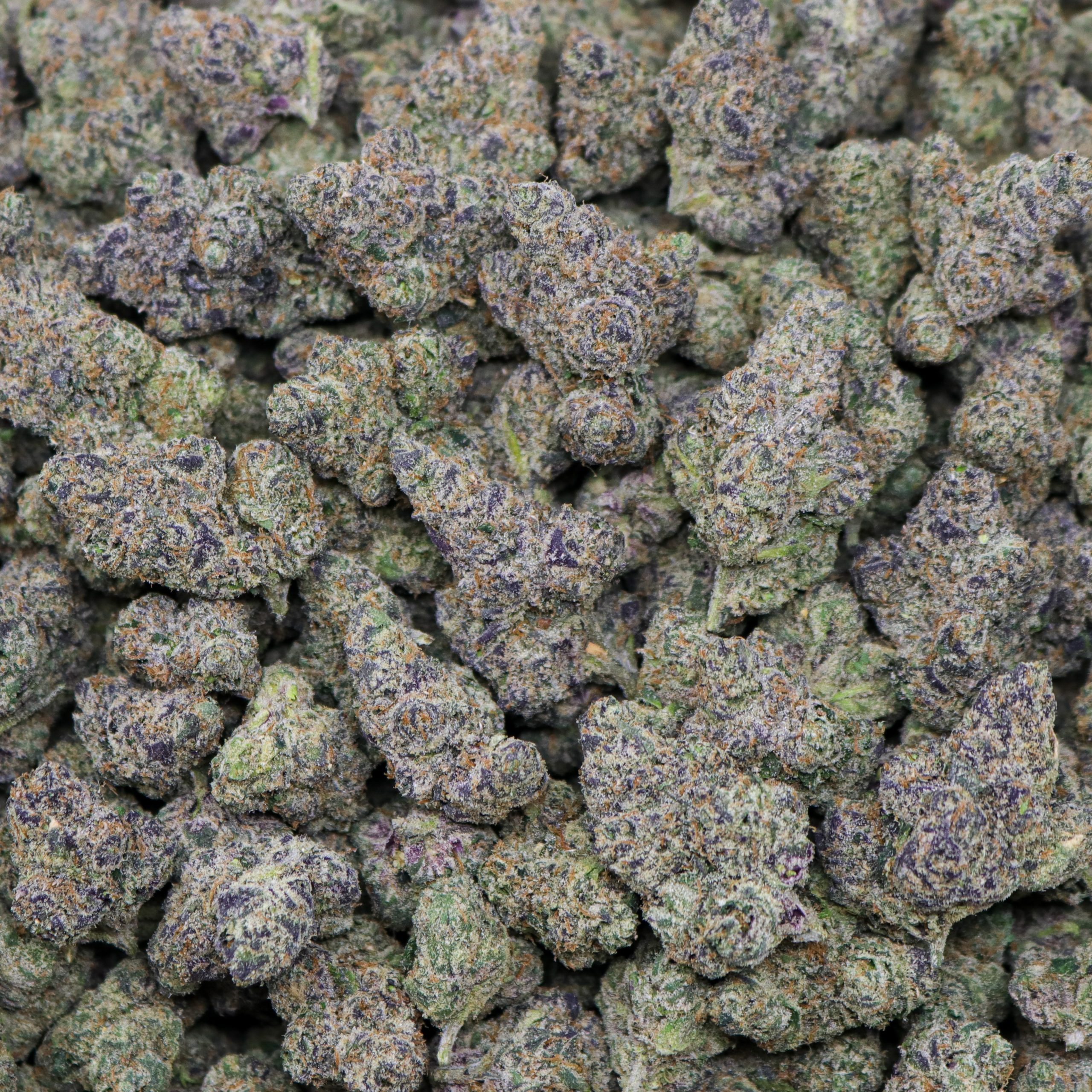 Frosted Nerdz - 1 LB - Image 2