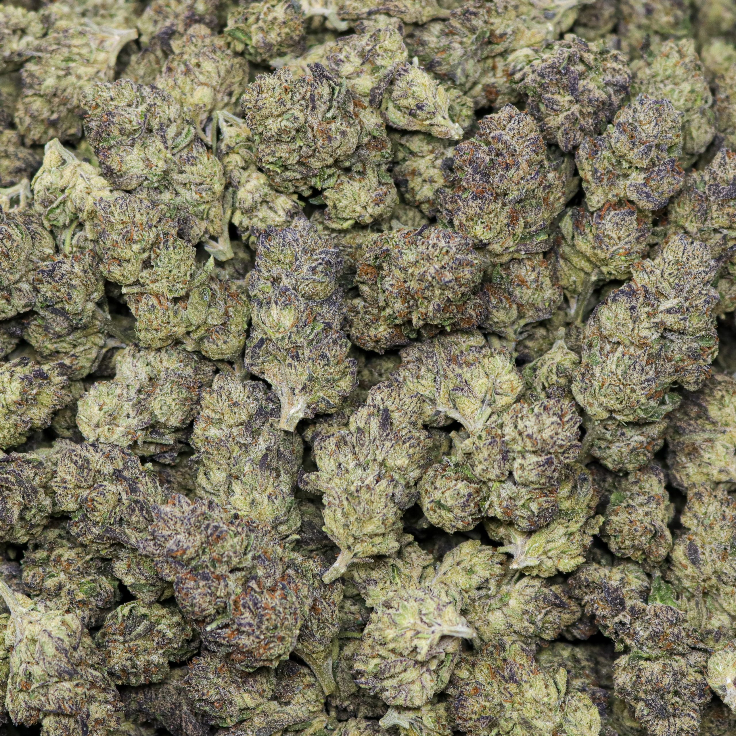 Gelonade - 1 LB - Image 2