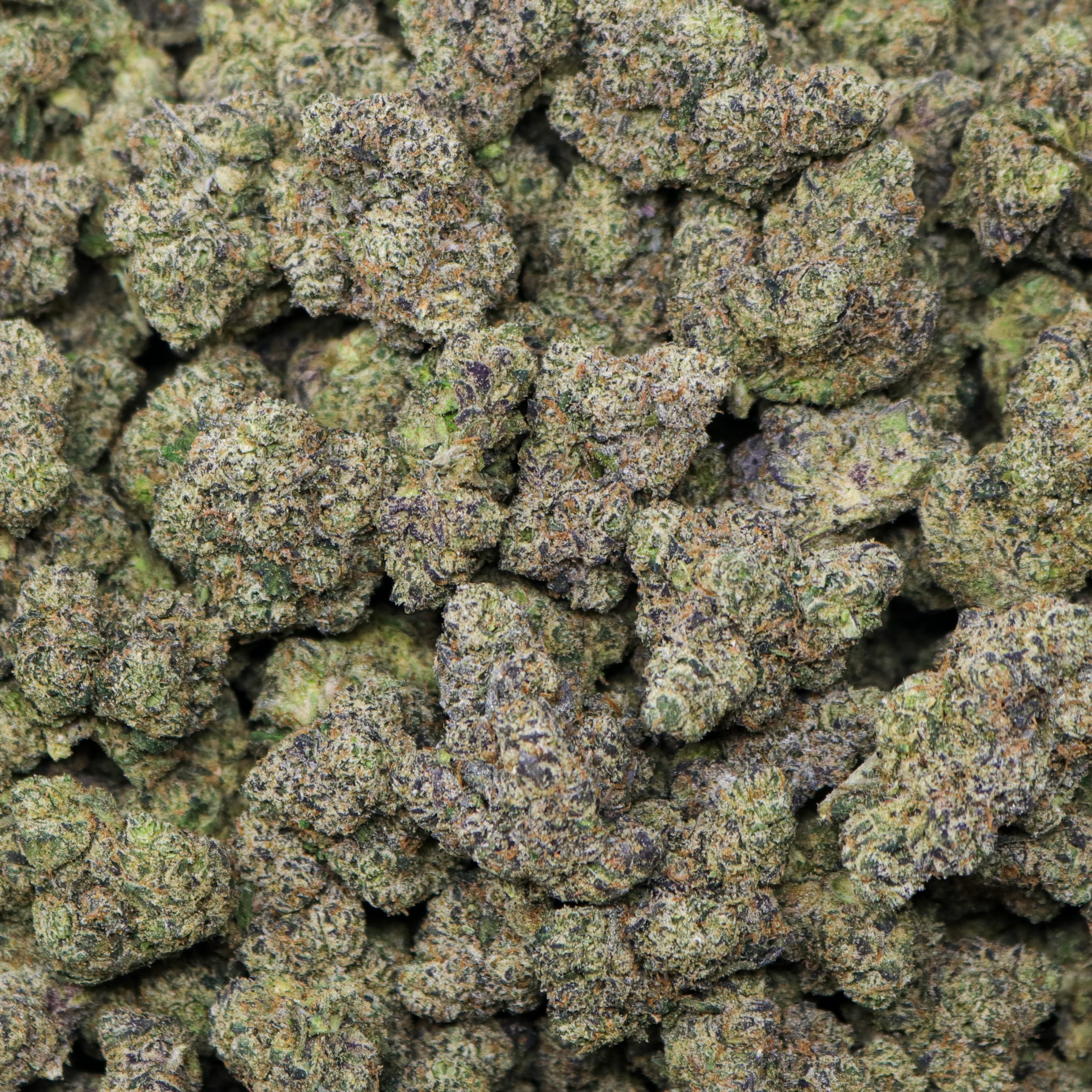 Sunset Runtz - 1 LB - Image 2